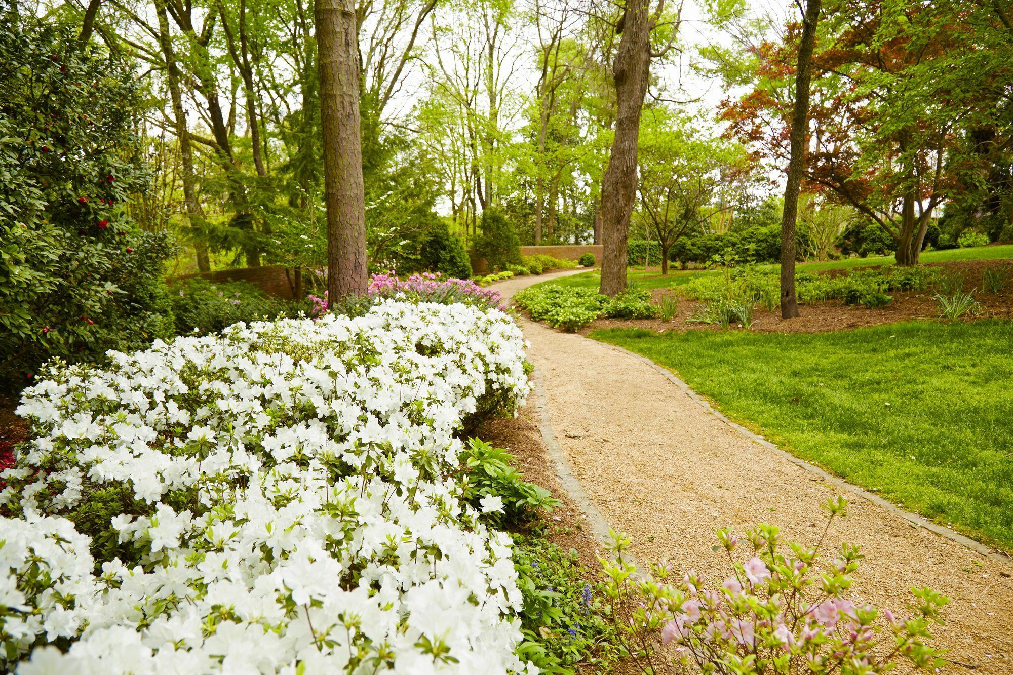 Rizzo Center, A Destination By Hyatt 4* Chapel Hill